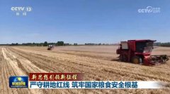 【新思惟引领新征程】耕地红线 建牢国度粮食平